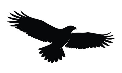 Obraz premium Silhouette of a majestic eagle soaring through the sky with wings fully extended