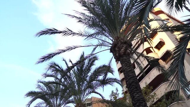 alicante capital, comunidad valenciana espa&ntilde;a