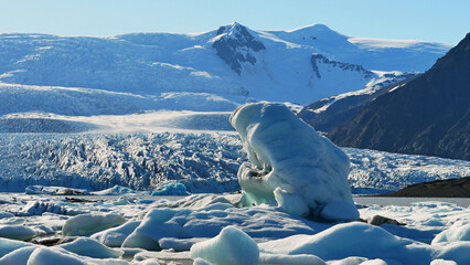 Ice floes on a lake in Iceland, abstract landscape © pettys