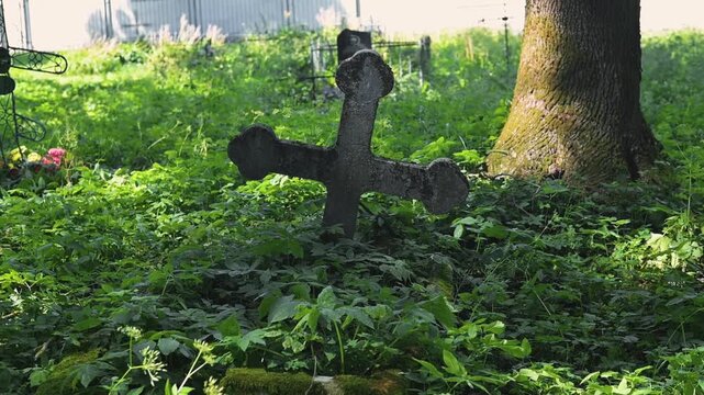 An old cross stands amid lush greenery, showing signs of age and neglect. Sunlight filters through trees, illuminating patches of grass and plants around the cross