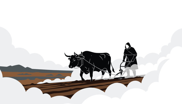 Farmer using an ox to plow soil in a field during the agricultural season.
