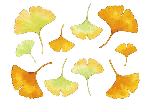 Fresh and Vibrant Ginkgo Leaf Illustration with Appetizing Glossy Texture／シズル感のある鮮やかないちょうのイラスト