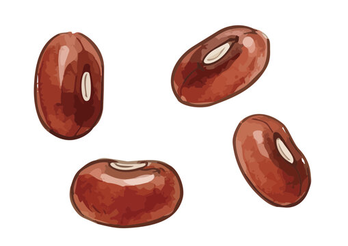 Fresh and Appetizing Azuki Red Bean Illustration with Glossy Texture／シズル感のあるみずみずしい小豆のイラスト