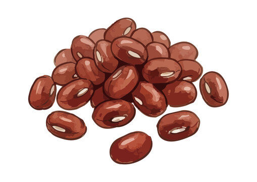Fresh and Appetizing Azuki Red Bean Illustration with Glossy Texture／シズル感のあるみずみずしい小豆のイラスト