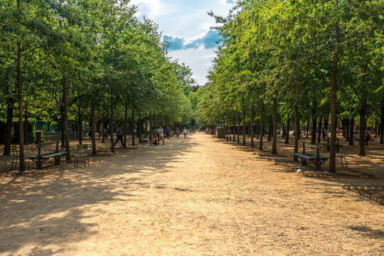 looking down path at the Jardin Du Luxembourg in Paris city centre with green trees lining the streets and sunlit pathway below and clear blue skies overhead in summer