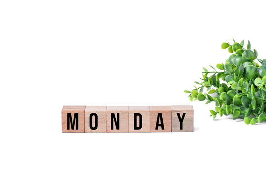 The word Monday written with wooden alphabet blocks next to a green plant on white background