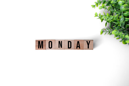 The word Monday written with wooden alphabet blocks next to a green plant on white background