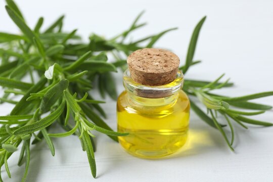 Rosemary oil in glass bottle with green rosemary sprigs. Herbs. Aromatherapy.