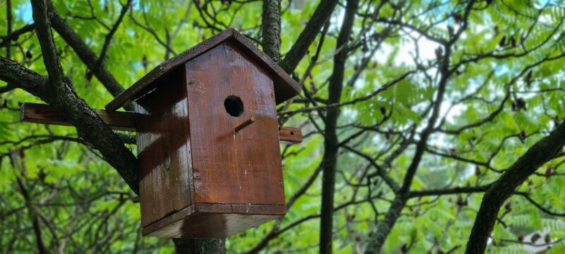 Brown Wooden Birdhouse Hanging On Tree Branch