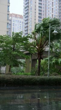 Residential complex courtyard with palm tree bending under strong storm wind, wet pavement during typhoon weather video with sound