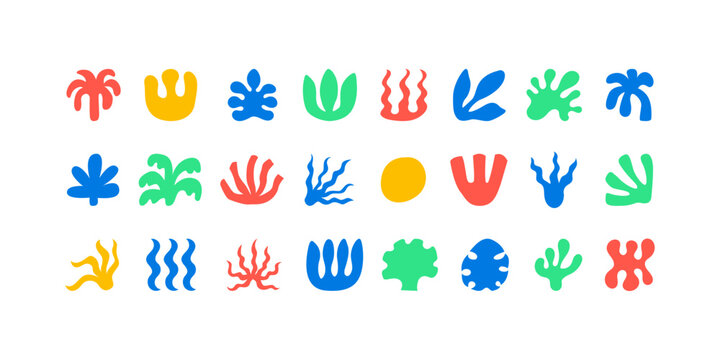 Set of abstract organic summer shapes. Vector icons in minimalist contemporary style. Silhouettes of algae, leaves, corals and seashells