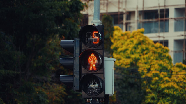 Close-up of a pedestrian traffic light displaying a red stop signal and a digital countdown timer at 5 seconds, against a softly blurred background of trees and a building. 