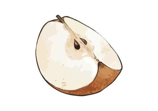 Fresh and Juicy Japanese Pear Illustration with Appetizing Texture／みずみずしくシズル感のある和梨のイラスト