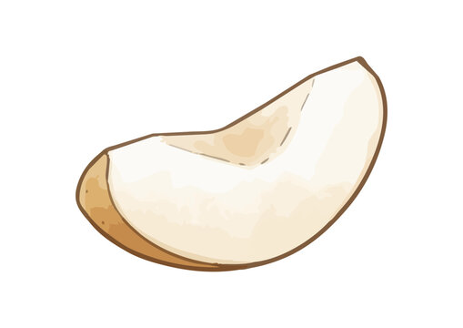 Fresh and Juicy Japanese Pear Illustration with Appetizing Texture／みずみずしくシズル感のある和梨のイラスト