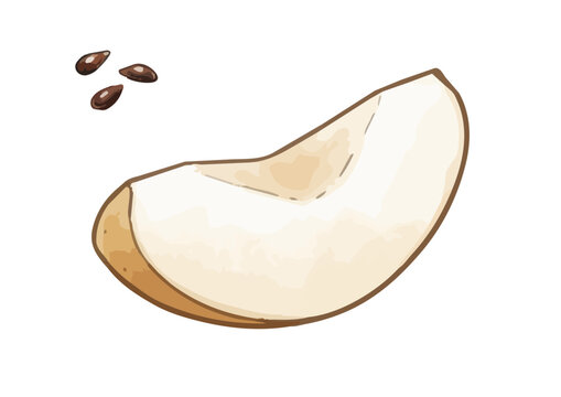 Fresh and Juicy Japanese Pear Illustration with Appetizing Texture／みずみずしくシズル感のある和梨のイラスト