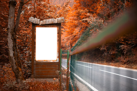 Old wooden billboard with white empty blank in the forest near asphalting road. Autumn time.