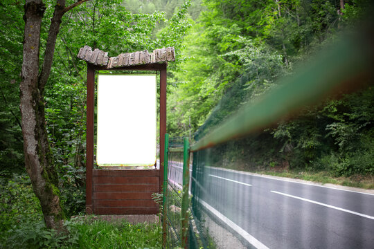 Old wooden billboard with white empty blank in the forest near asphalting road. Summer time.