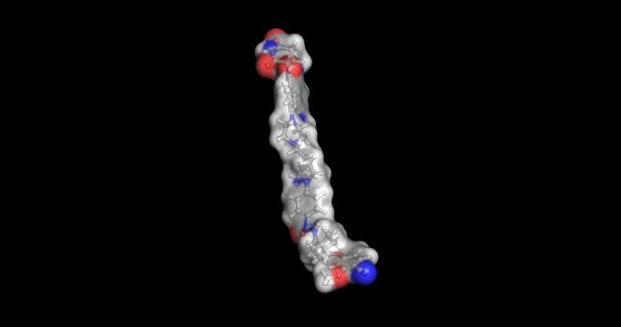 Luxdegalutamide (ARV-766 / JSB462), oral PROTAC androgen receptor degrader used for treating metastatic castration-resistant prostate cancer, 3D molecule spinning, 4K  