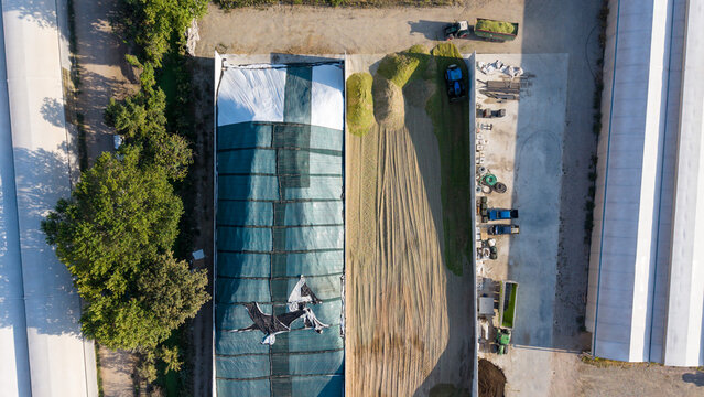 Aerial view of a tractor transferring freshly cut grass into a silage bunker on an agricultural farm in San Giuliano Milanese, Lombardy, Italy.