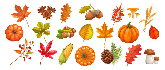 Fototapeta premium Autumn elements with pumpkins, leaves, acorns, nuts, berries, mushrooms, corn and wheat. Cards, packaging and seasonal decor feature autumn elements, cartoon vector illustration.