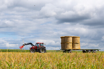 Red tractor with a trailer loaded with round hay bales in a harvested agricultural field, rural farming landscape under dramatic cloudy sky © Iryna