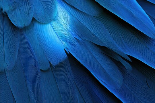 Macro view of overlapping vibrant blue feathers creating a textured, patterned background