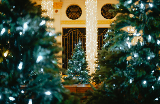 Christmas trees glowing bright with white lights at night on ornate building facade.