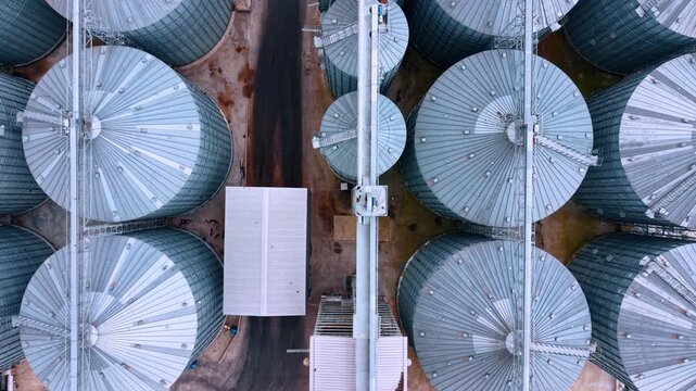 Bird's eye view of grain silos in a rural area during the day. Large group of circular grain silos in a farming area. The view captures their shapes and structure.