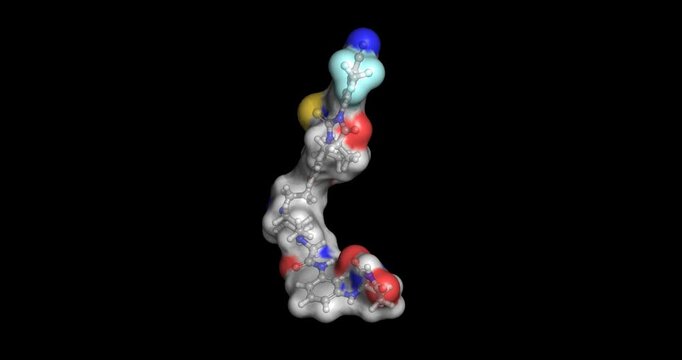 Gridegalutamide (BMS-986365 / CC-94676), investigational oral PROTAC protein degrader and androgen receptor antagonist used for metastatic castration-resistant prostate cancer, 3D molecule spinning, 4