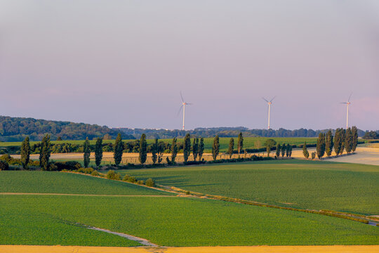 Summer landscape, The terrain hill countryside in Zuid-Limburg, Small houses on hillside in the evening during sunset, Gulpen-Wittem is a villages in Dutch province of Limburg, Gulperberg, Netherlands