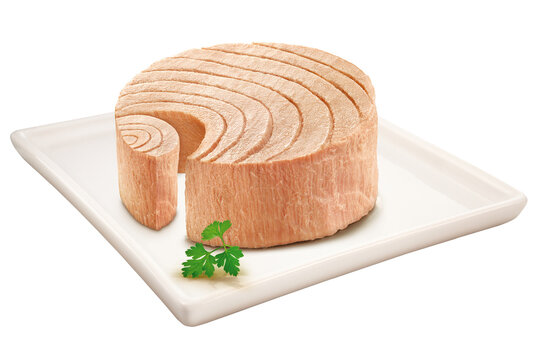 Canned tuna fillet with parsley on a square plate, isolated on a transparent background.