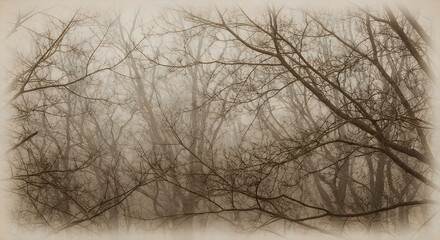Obraz premium Tree branches with bare winter twigs against gray sky