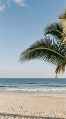 Fototapeta premium Palm frond arching over a serene tropical beach with soft sandy shores and a peach-colored sky, perfect for travel banners and copy space