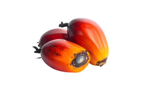 Three vibrant, fleshy, orange-red palm oil fruits with a dark, textured base, against a black, seamless background