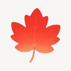 Fototapeta premium Vibrant autumn maple leaf illustration.
