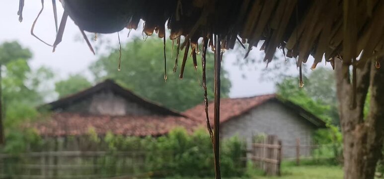 Traditional Rural Indian Village Mud Huts with Thatched Straw Roofs