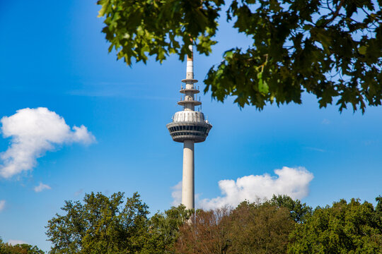 Fernmeldeturm in Mannheim