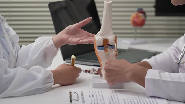 Doctor Pointing Pen to Anatomical Knee Joint Model Explaining Diagnosis to Patient