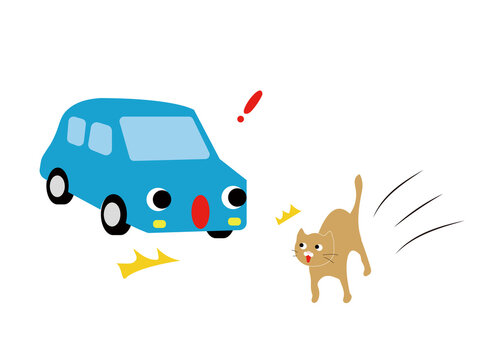 A cartoon blue car and a startled brown cat with exclamation marks, depicting a near-miss or sudden encounter.