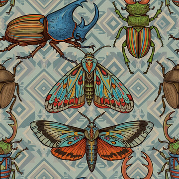 Detailed illustrated beetles and moths geometric pattern background