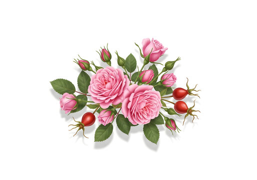 Pink roses bouquet with green leaves and buds isolated on white background
