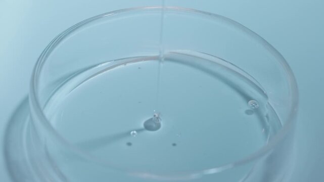 Clear viscous liquid pouring into petri dish in laboratory closeup view