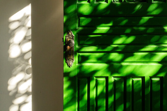 Vibrant green door with dappled sunlight and leaf shadows