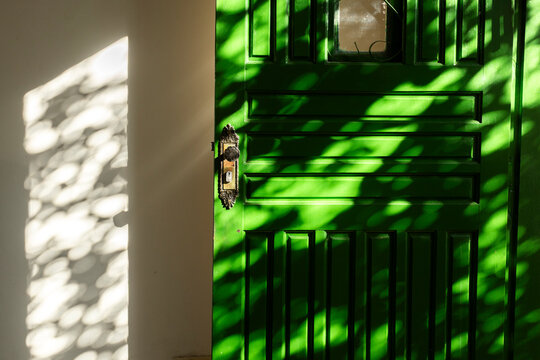 Vibrant green door with dappled sunlight and leaf shadows