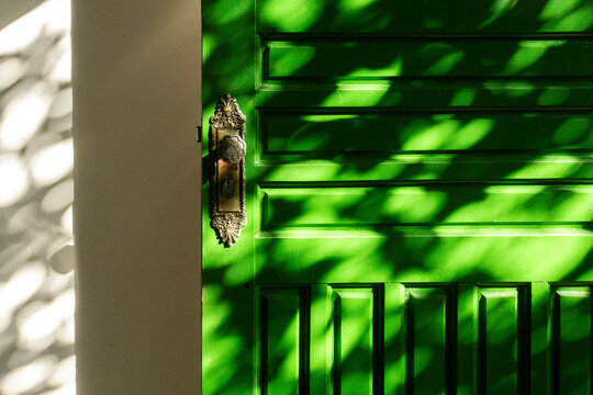 Vibrant green door with dappled sunlight and leaf shadows