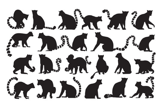 A collection of black ring-tailed lemur silhouettes in various poses, isolated on a white background and suitable for a transparent background.