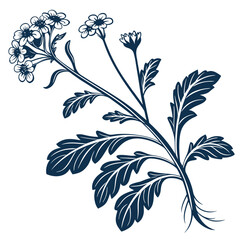Fototapeta premium lamb's lettuce silhouette on white background