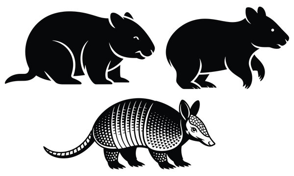 Armadillo and rodent silhouettes on a white background