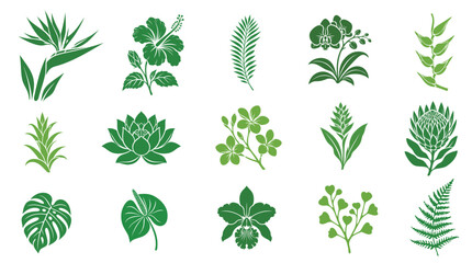 Fototapeta premium Green tropical flowers vector set, botanical leaves icons, hibiscus, orchid, monstera, lotus and palm leaf collection for eco packaging, spa logo and cosmetic design