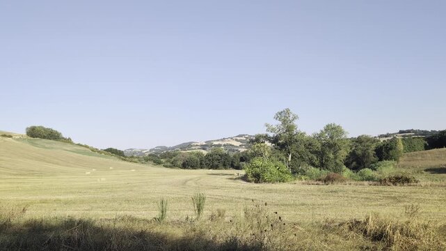 Un ampio panorama di colline dorate e campi coltivati in estate, arricchito da macchie di alberi verdi sotto un cielo azzurro e limpido
